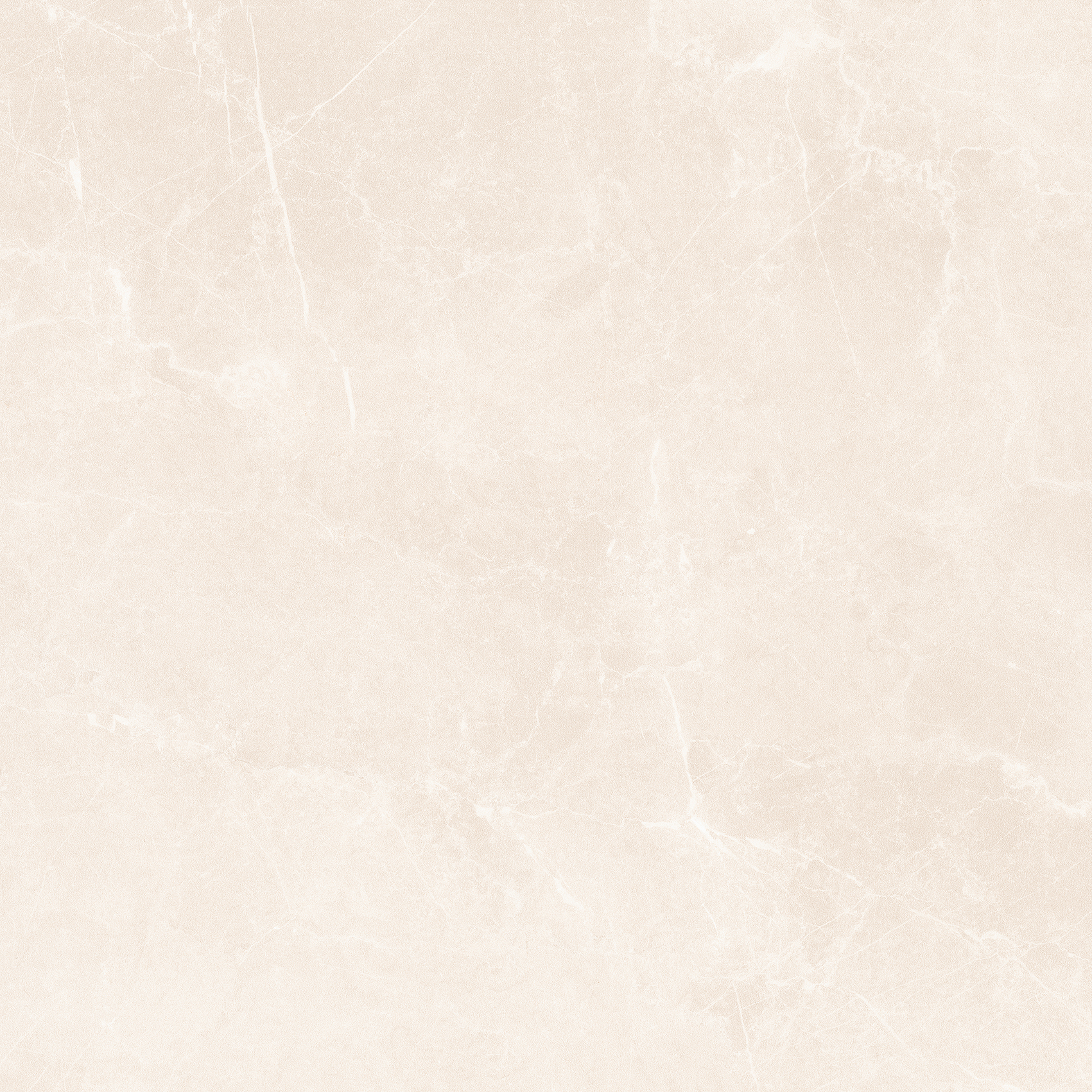 Athens Bone - Image 5