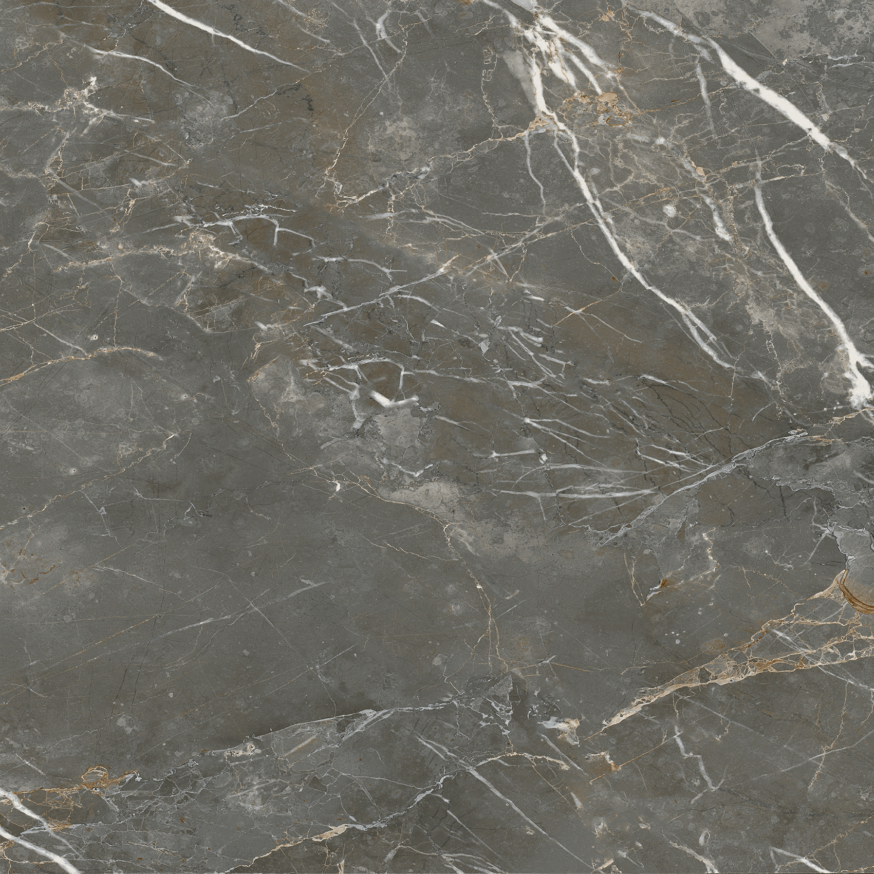 Atlas Grey tile room scene modern interior charcoal graphite floor