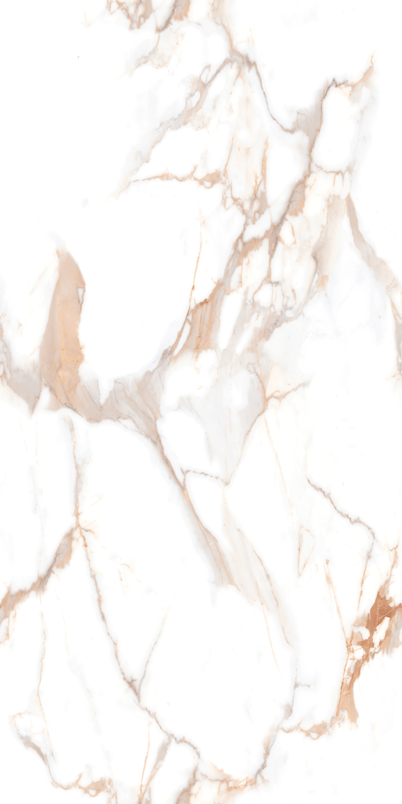 Bevin Gold Endless - Alpine White - Image 2