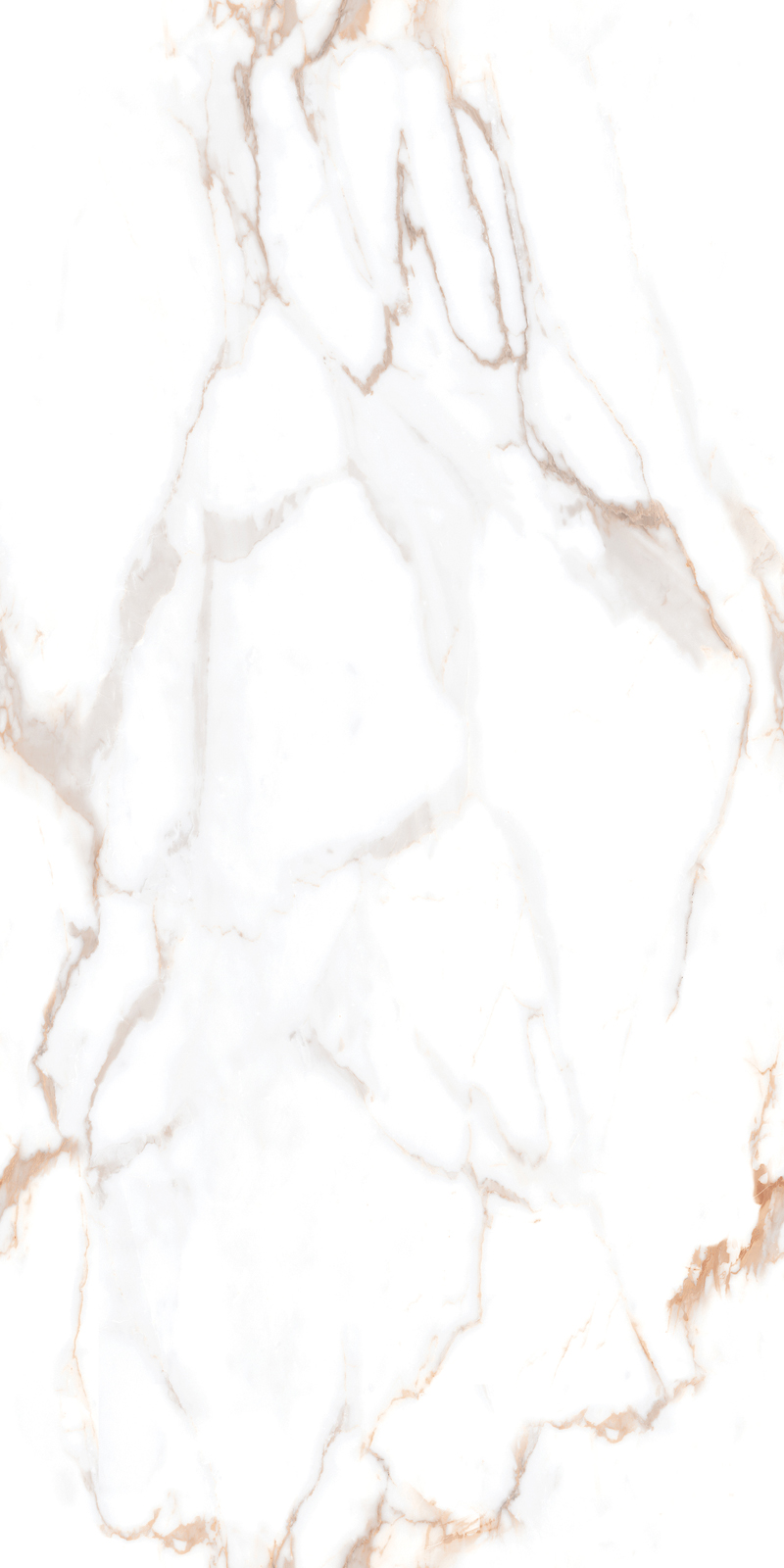 Bevin Gold Endless - Alpine White - Image 3