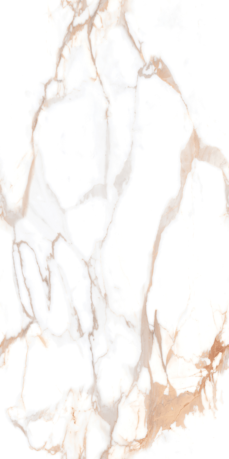 Bevin Gold Endless - Alpine White - Image 4