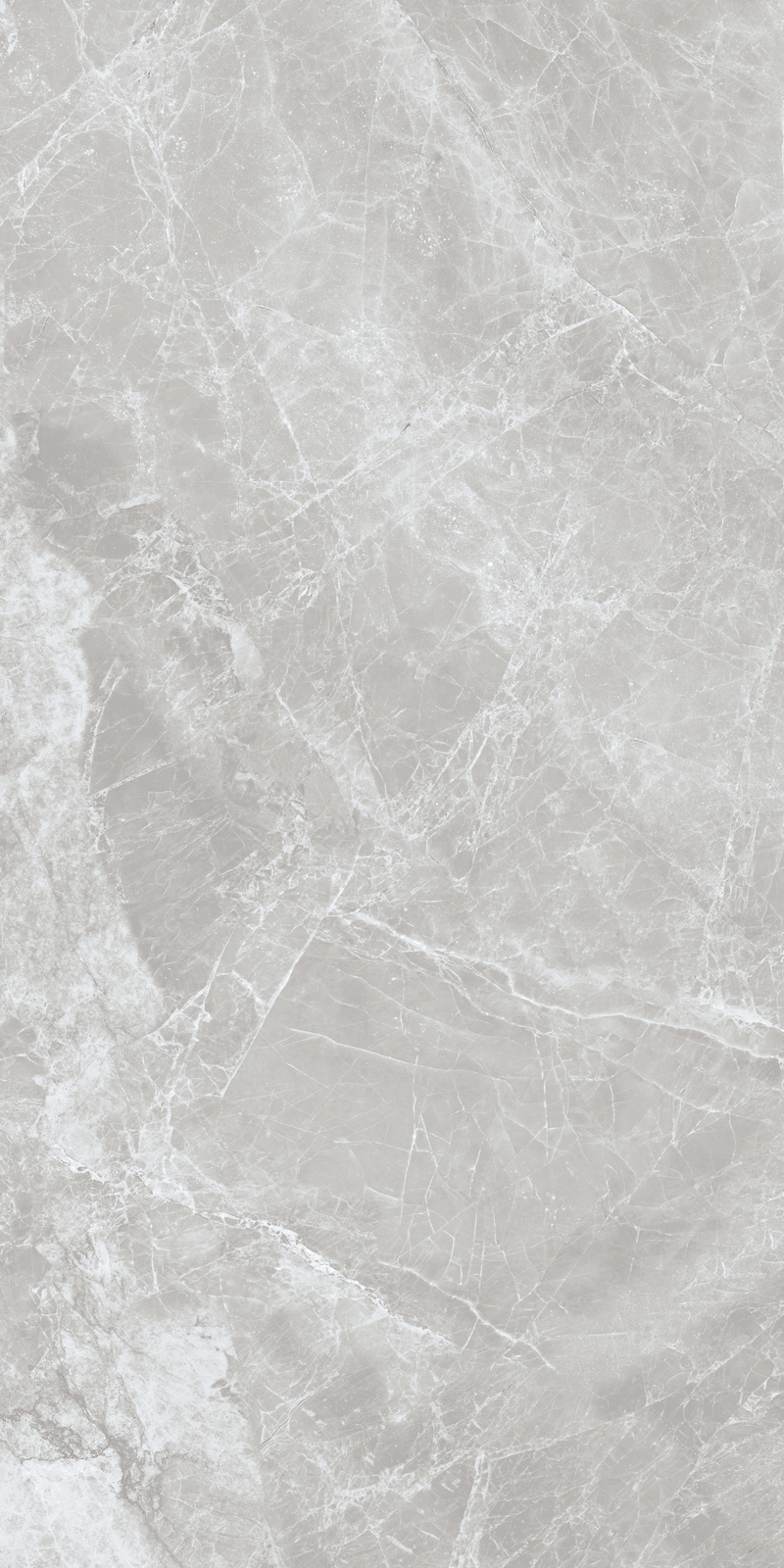 Carlino Grey Feather - Image 2