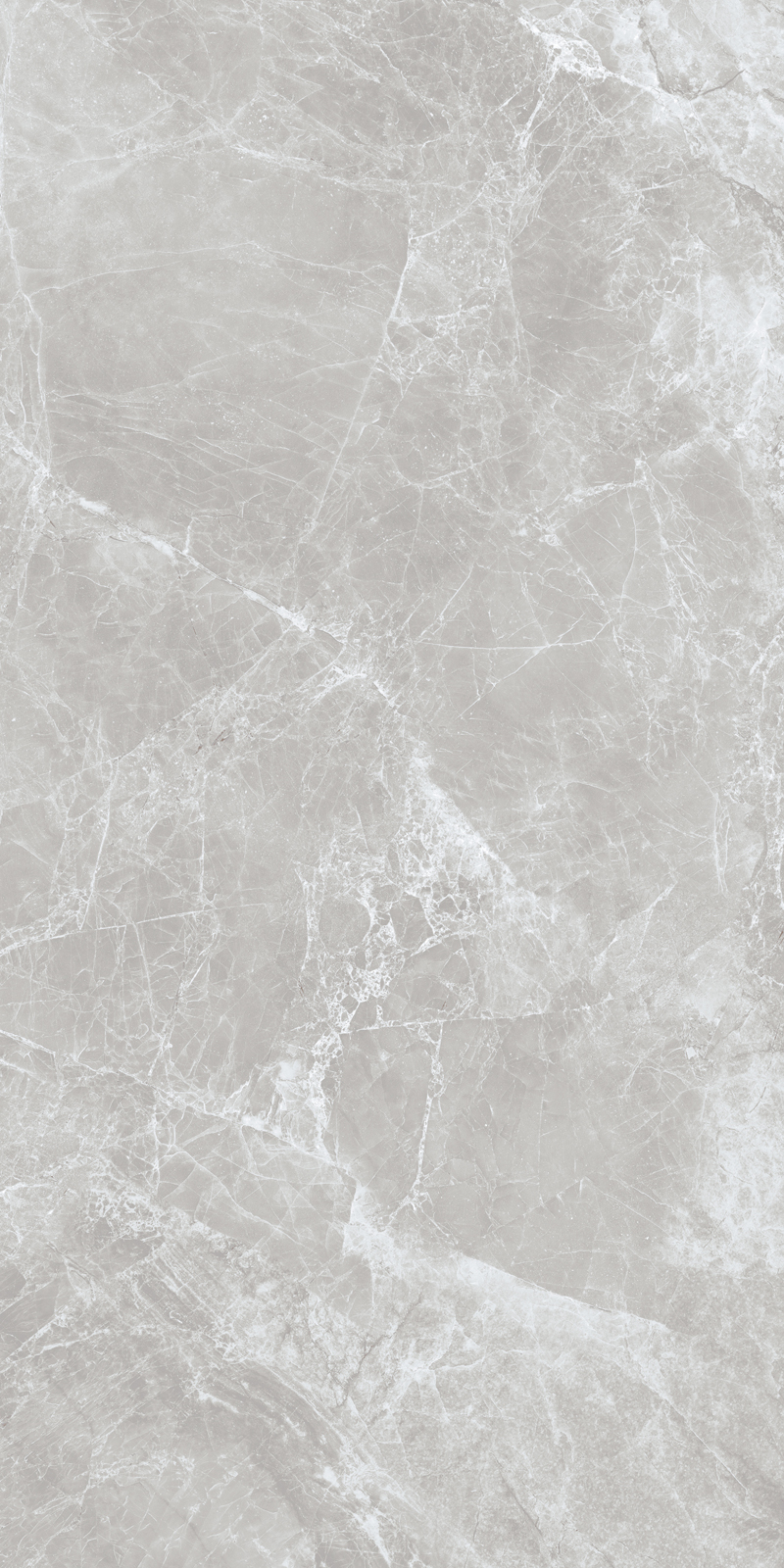 Carlino Grey Feather - Image 3