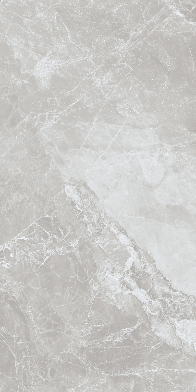 Carlino Grey Feather - Image 7