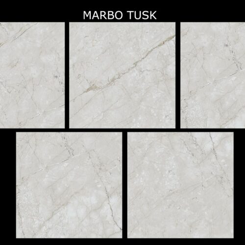 Marbo Tusk 600x600 gloss porcelain warm ivory marble tile random face multi-variation sheet