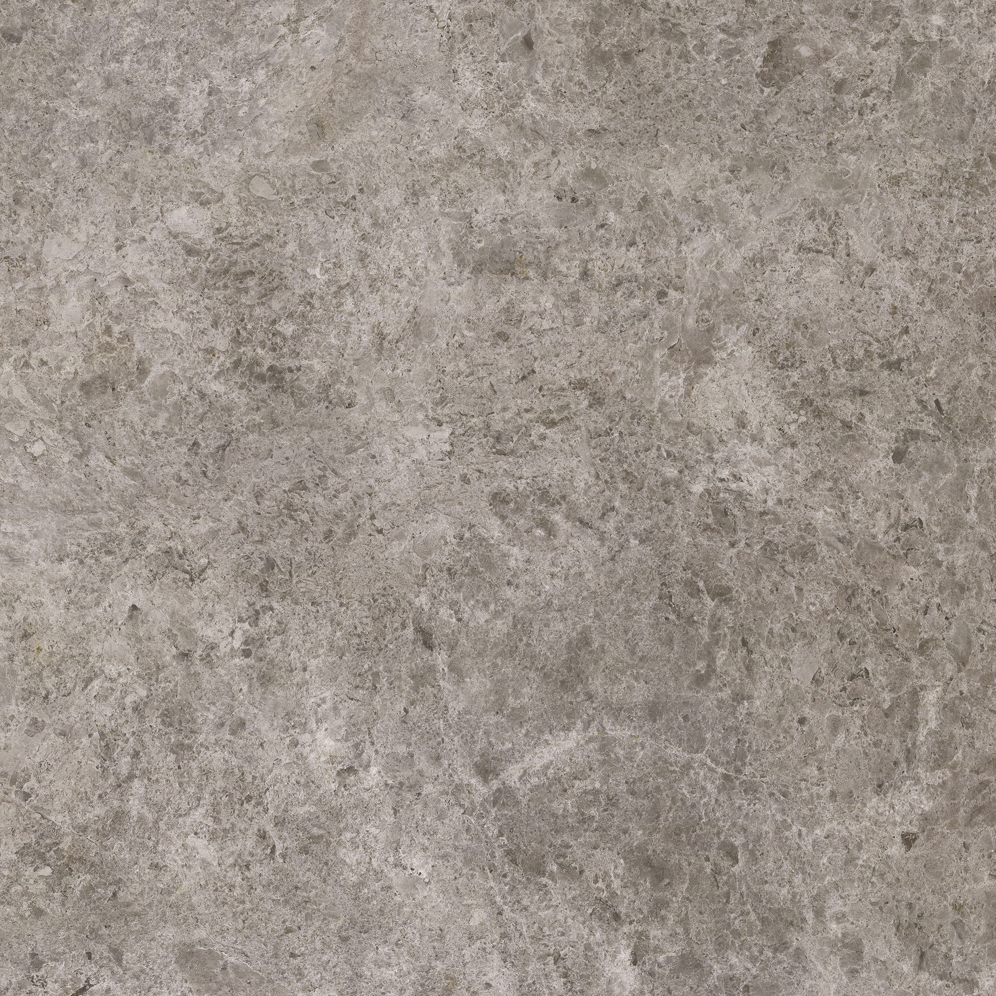Tundra Beige - Image 8