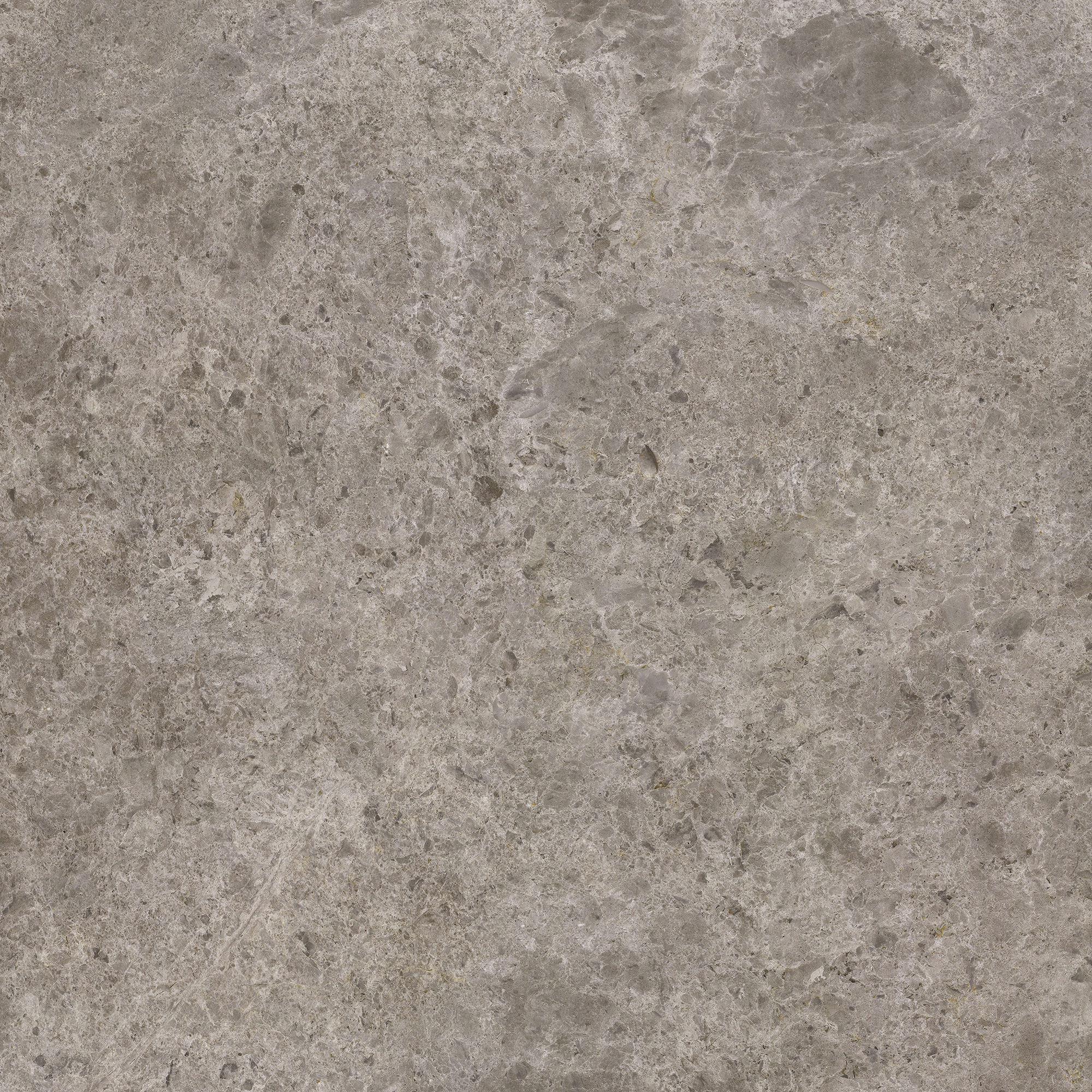 Tundra Beige - Image 7