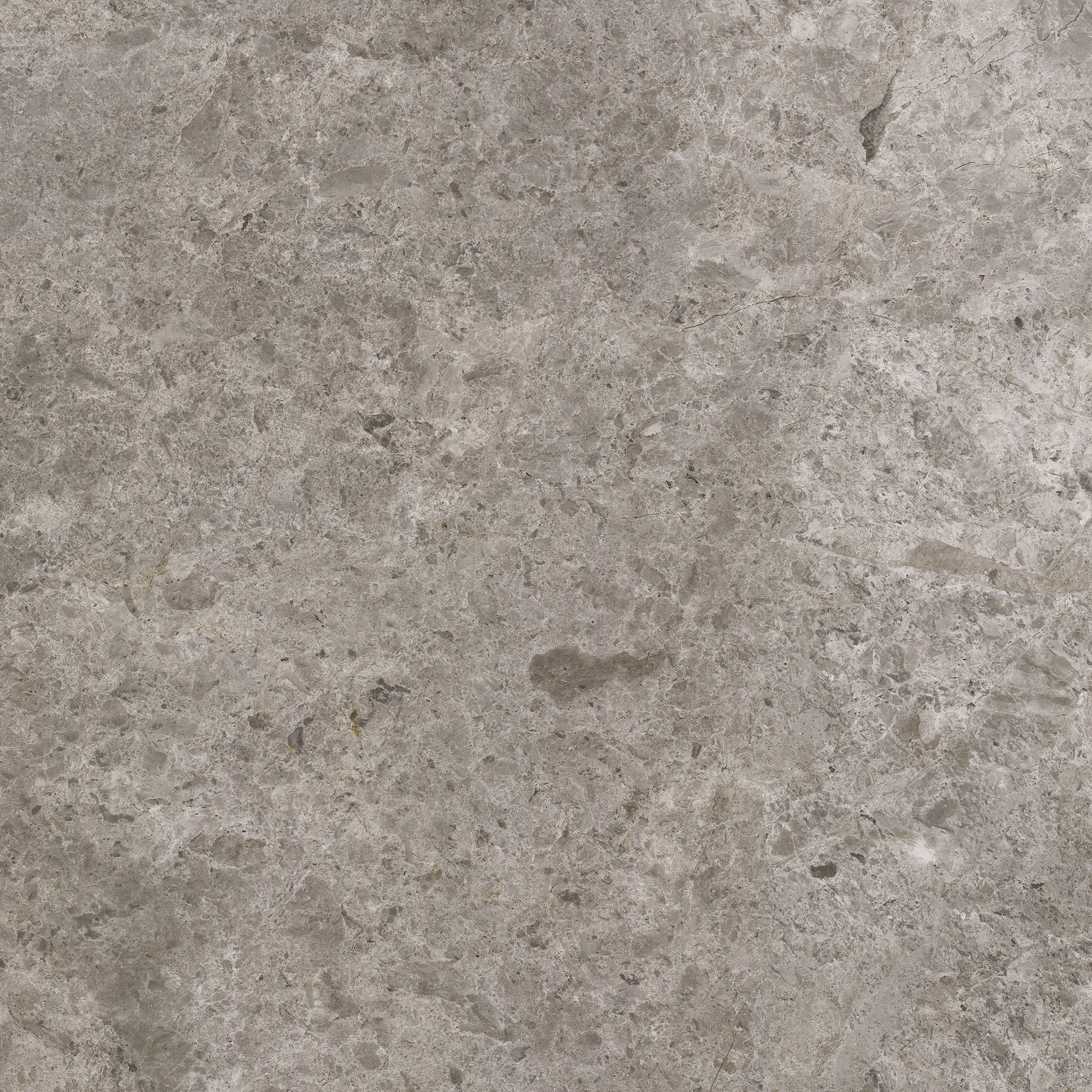 Tundra Beige - Image 6