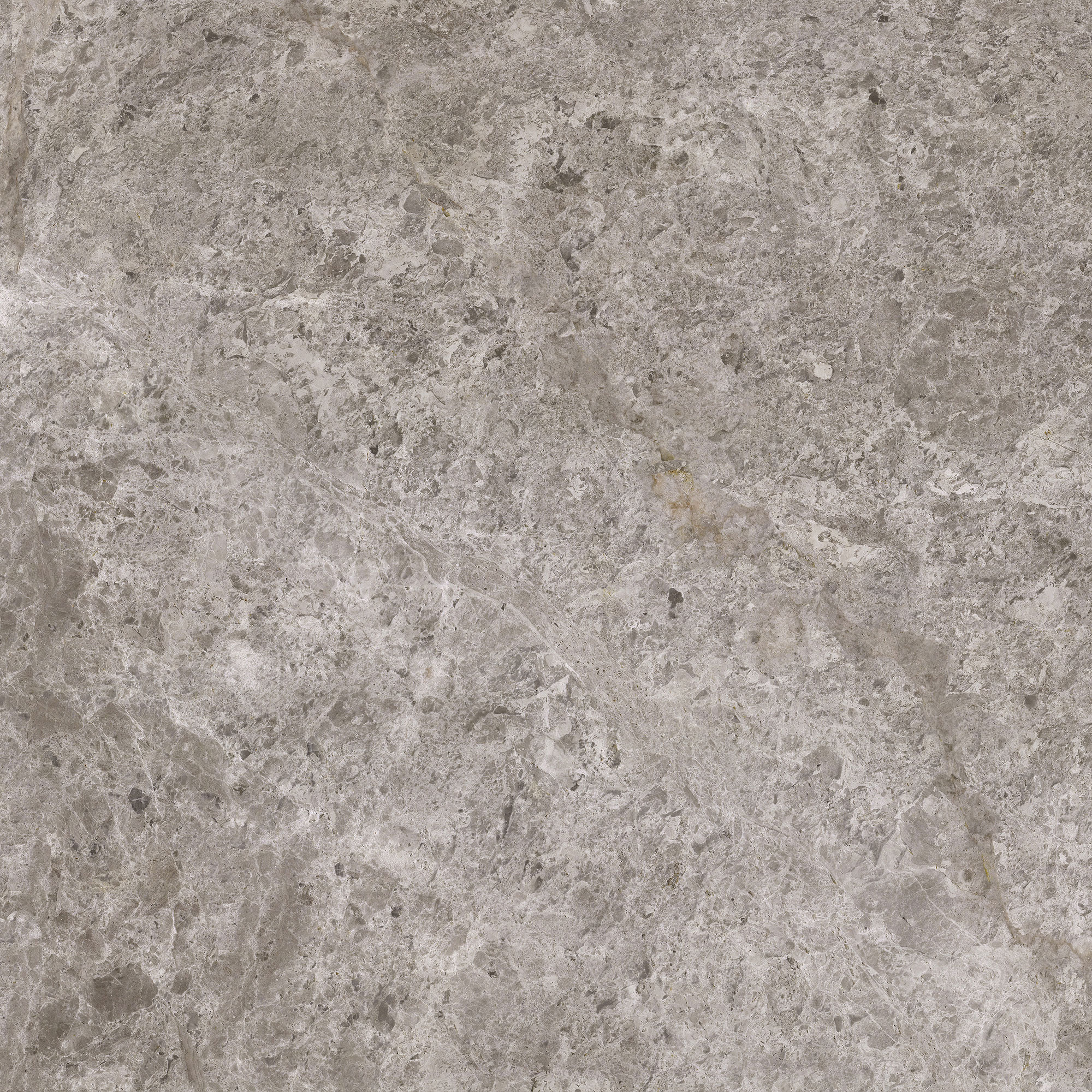 Tundra Beige - Image 5