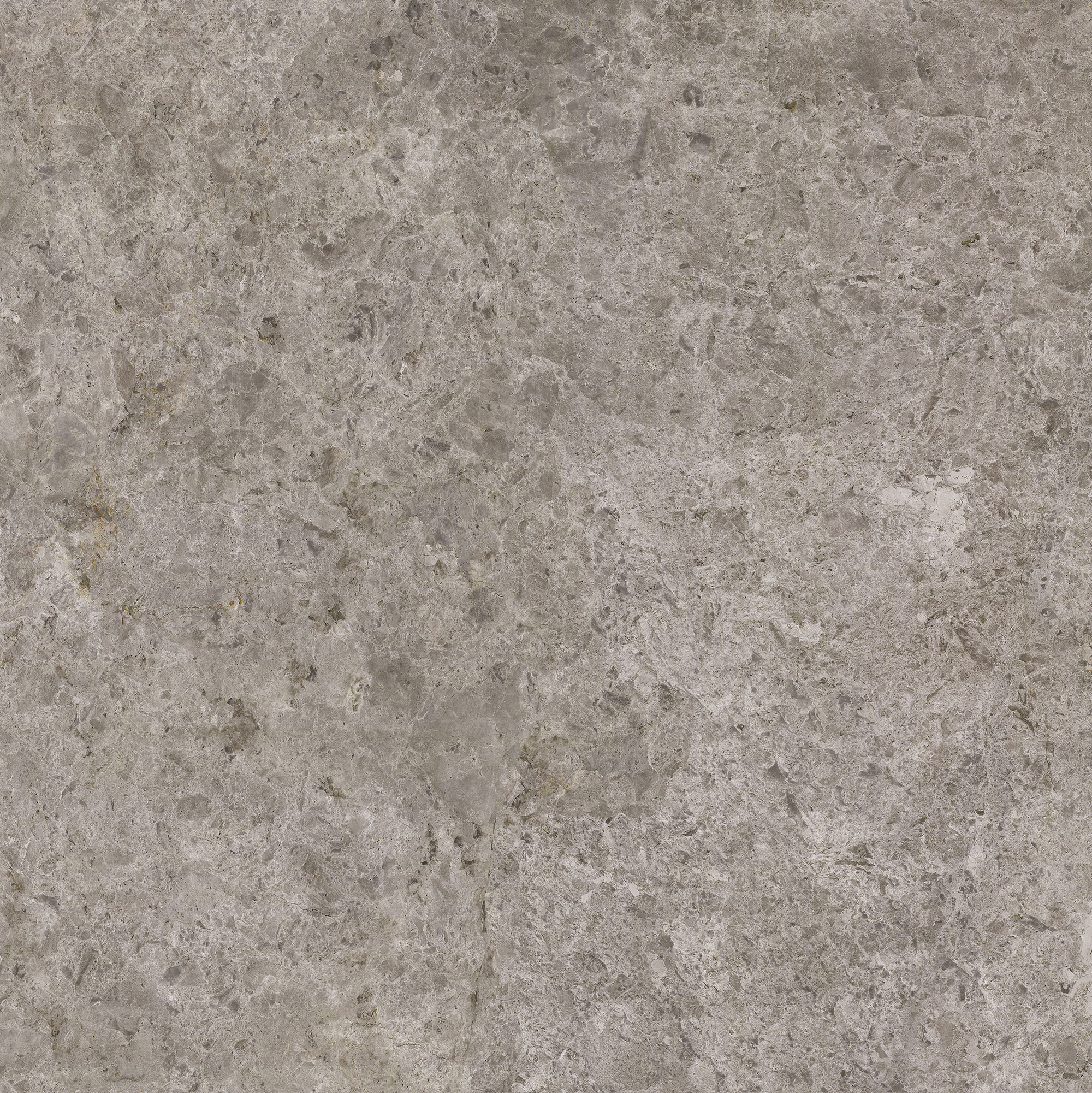 Tundra Beige - Image 4