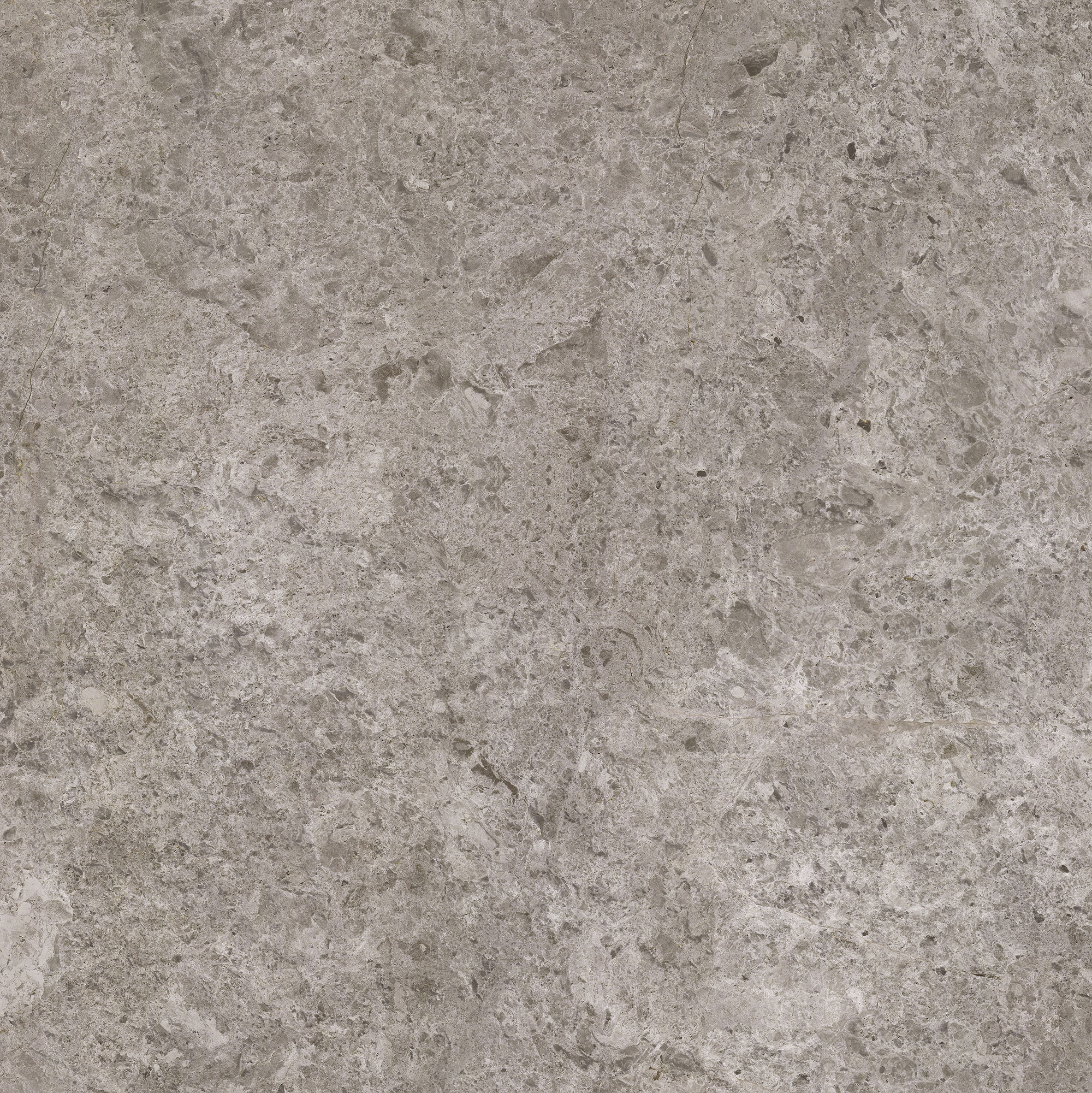 Tundra Beige - Image 3