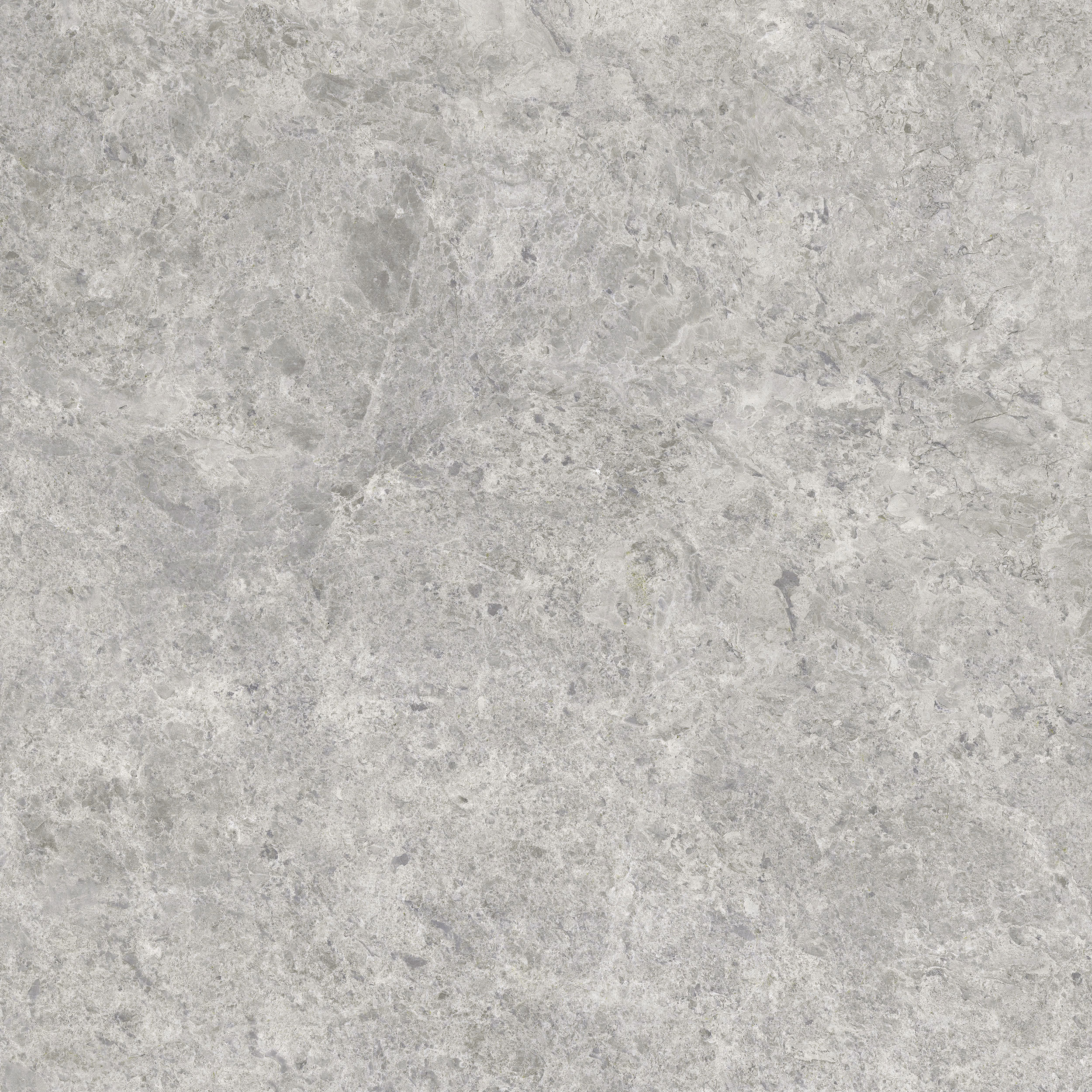 Tundra Light - Image 9