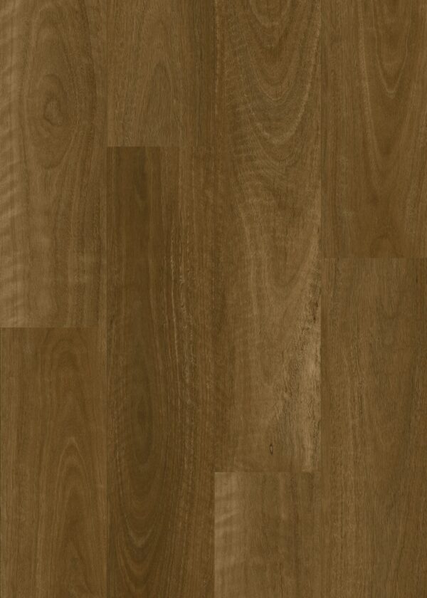 Smoked spotted gum