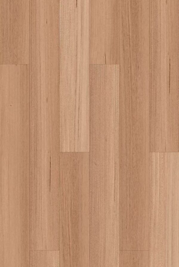 Tasmanian Oak