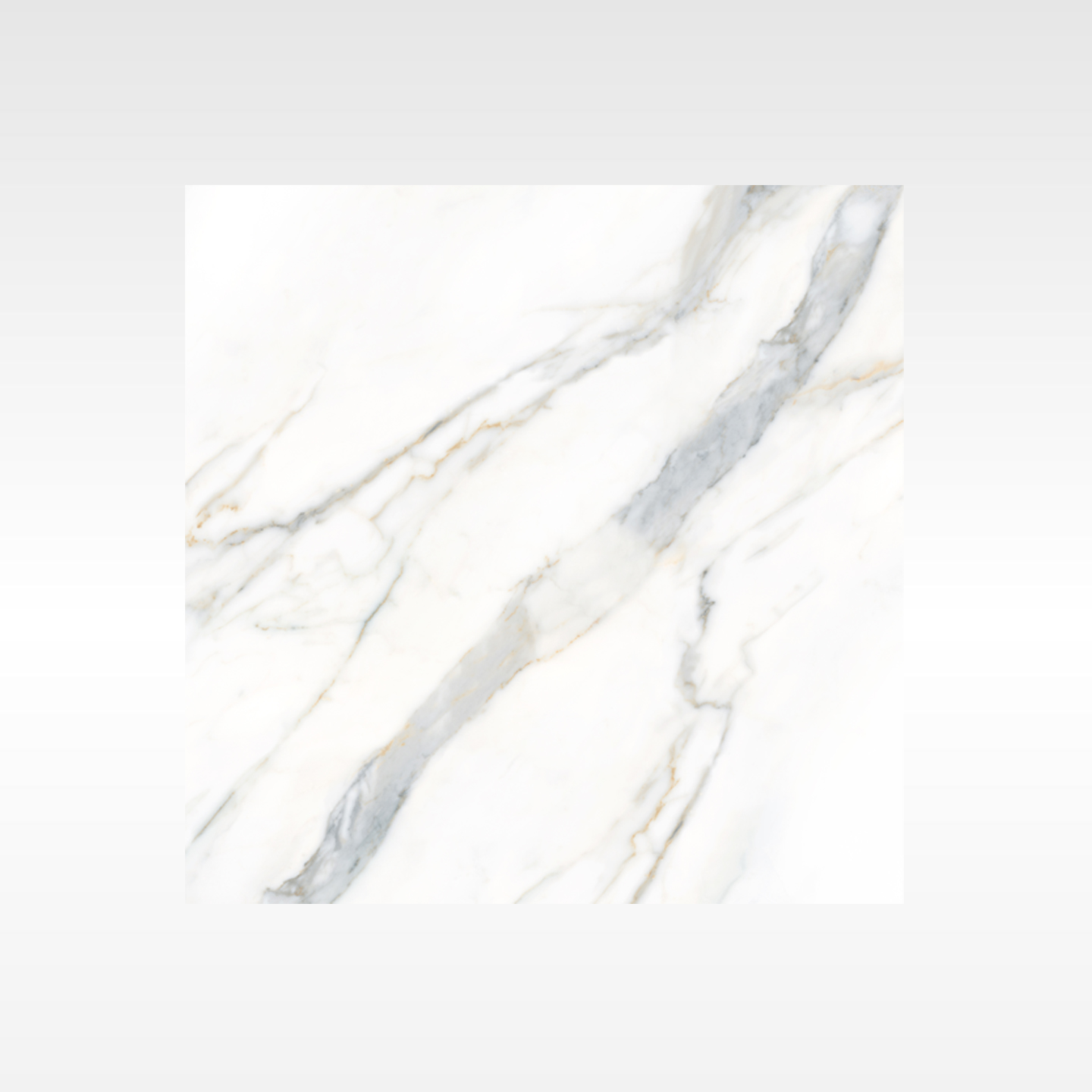 Calacatta Gold polished porcelain tile white ground bold grey veins warm gold hairlines