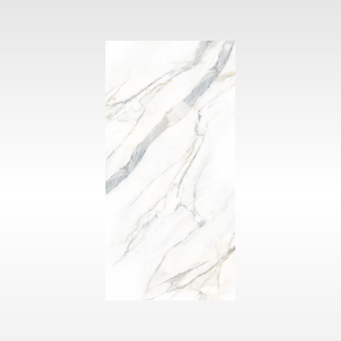 Calacatta Gold large format porcelain tile room scene white gold vein feature wall