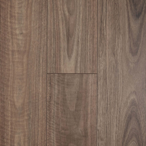 Brown spotted gum AC5 laminate flooring - Aquastop Spotted Gum Swiss Krono laminate