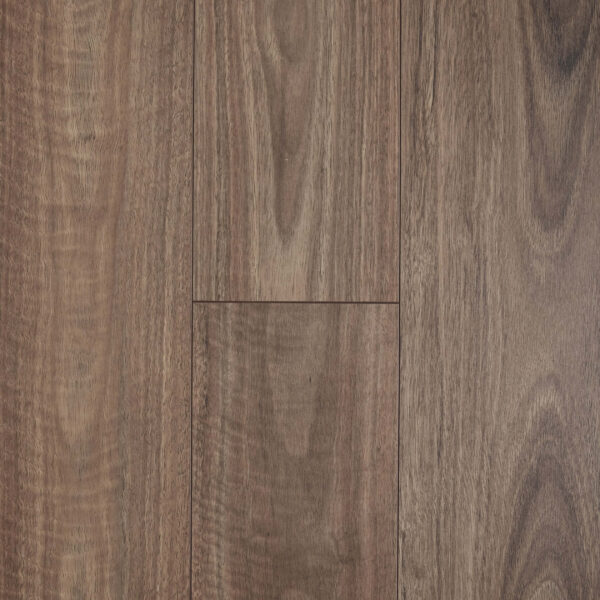 Aquastop - Spotted Gum