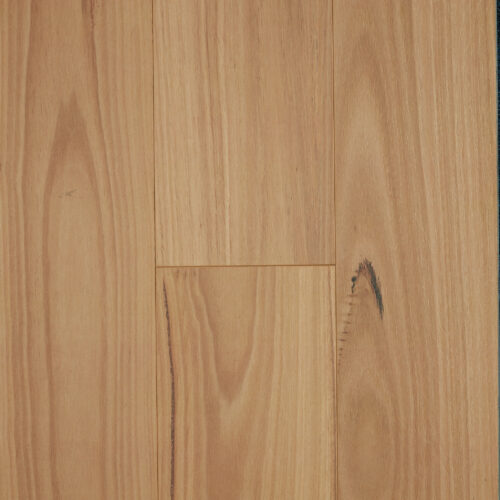 Brown laminate flooring - Oakleaf HD PLUS Blackbutt Australian hardwood look super-matte AC4 plank