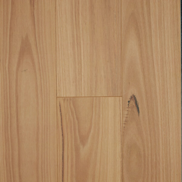 Oakleaf HD PLUS - Blackbutt
