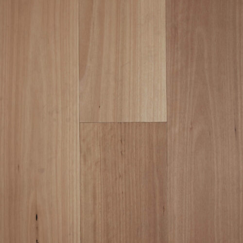 Fiddleback Australian Hardwood - Blackbutt