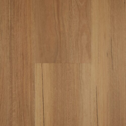 Brown classic spotted gum hybrid flooring - Easi-Plank SPC Classic Spotted Gum rigid SPC plank and herringbone