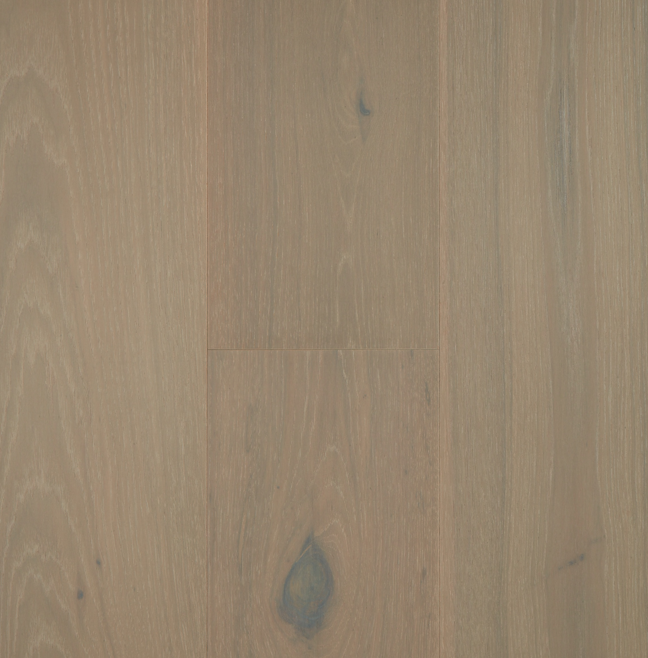 Elk Falls Hickory - Bluegrass