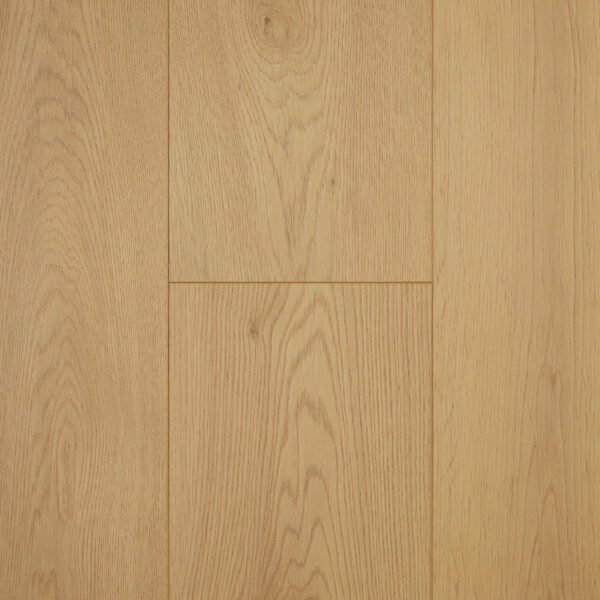 Aspect - Acacia