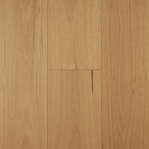 Brown blackbutt laminate flooring - Aspect Blackbutt 12mm AC4 super-matte 2260mm plank
