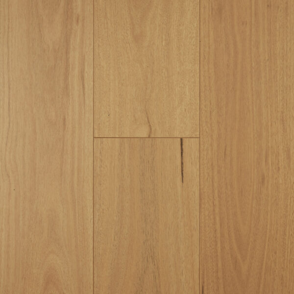 Aspect - Blackbutt