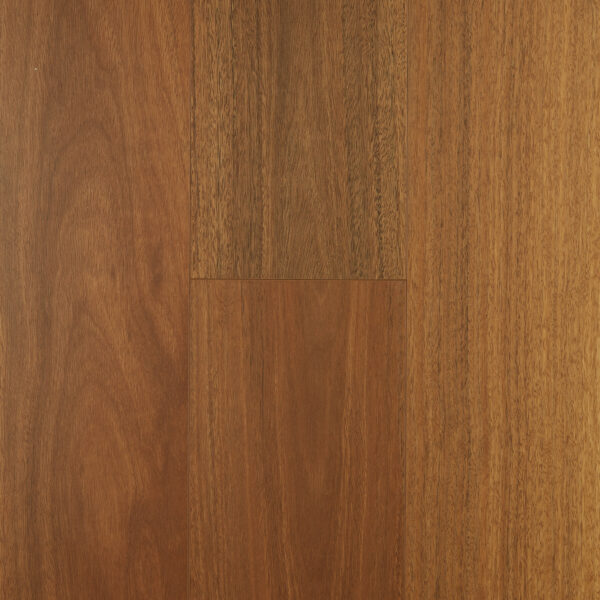 Aspect - Spotted Gum