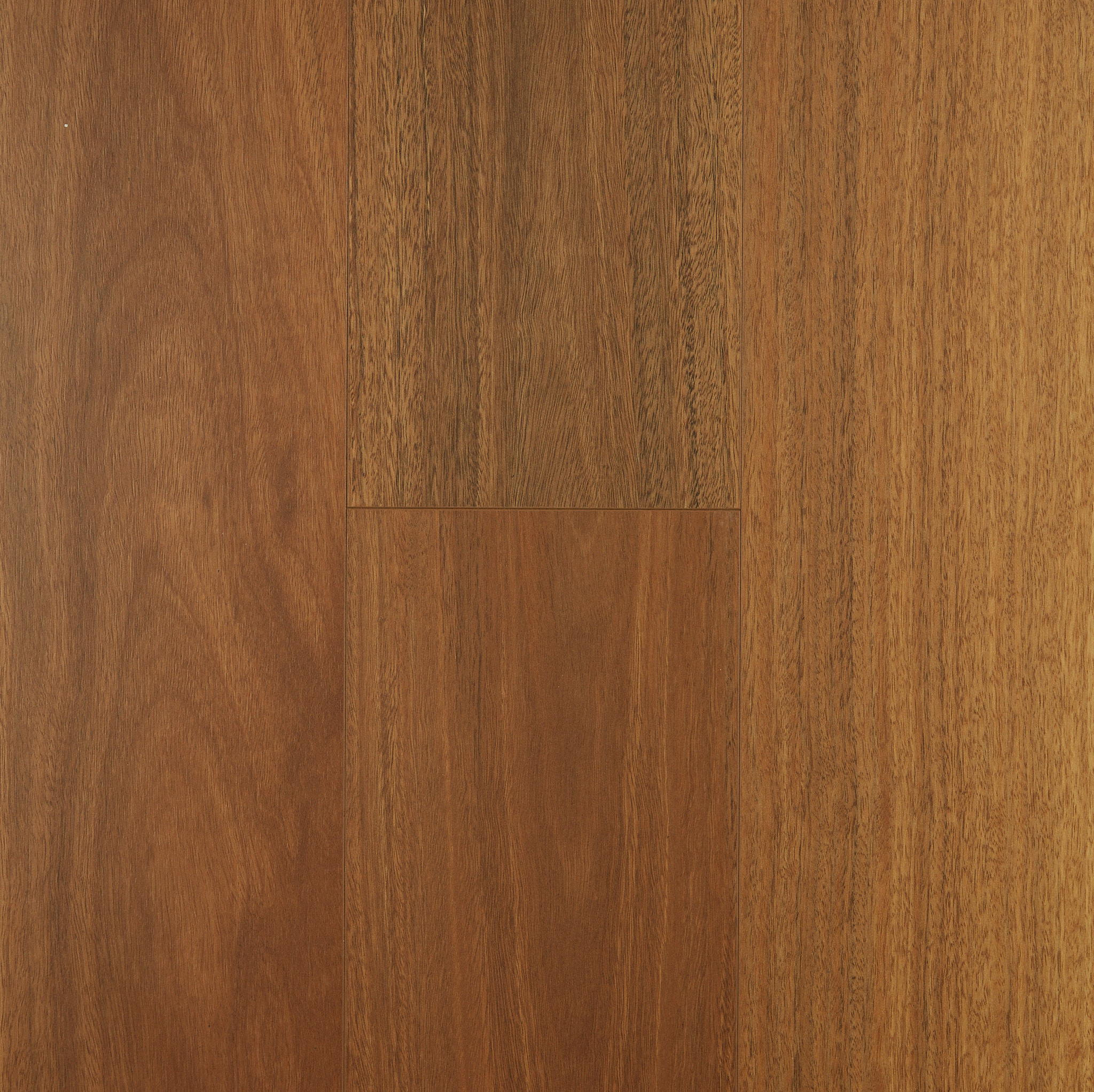 Aspect - Spotted Gum
