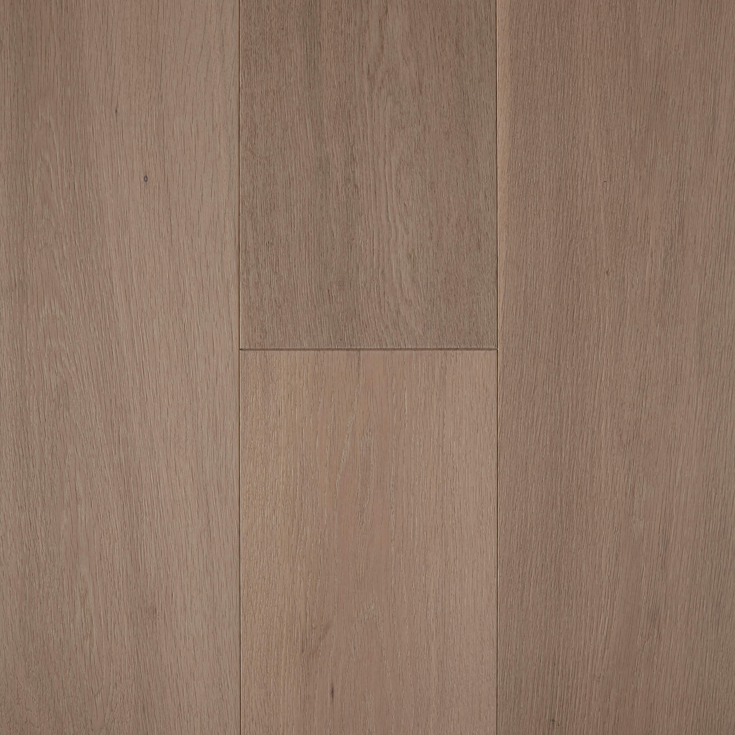 Pronto Engineered Oak - Misty Cove