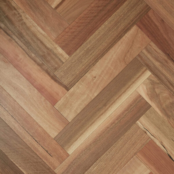 Fiddleback Australian Hardwood - Spotted Gum (Herringbone)