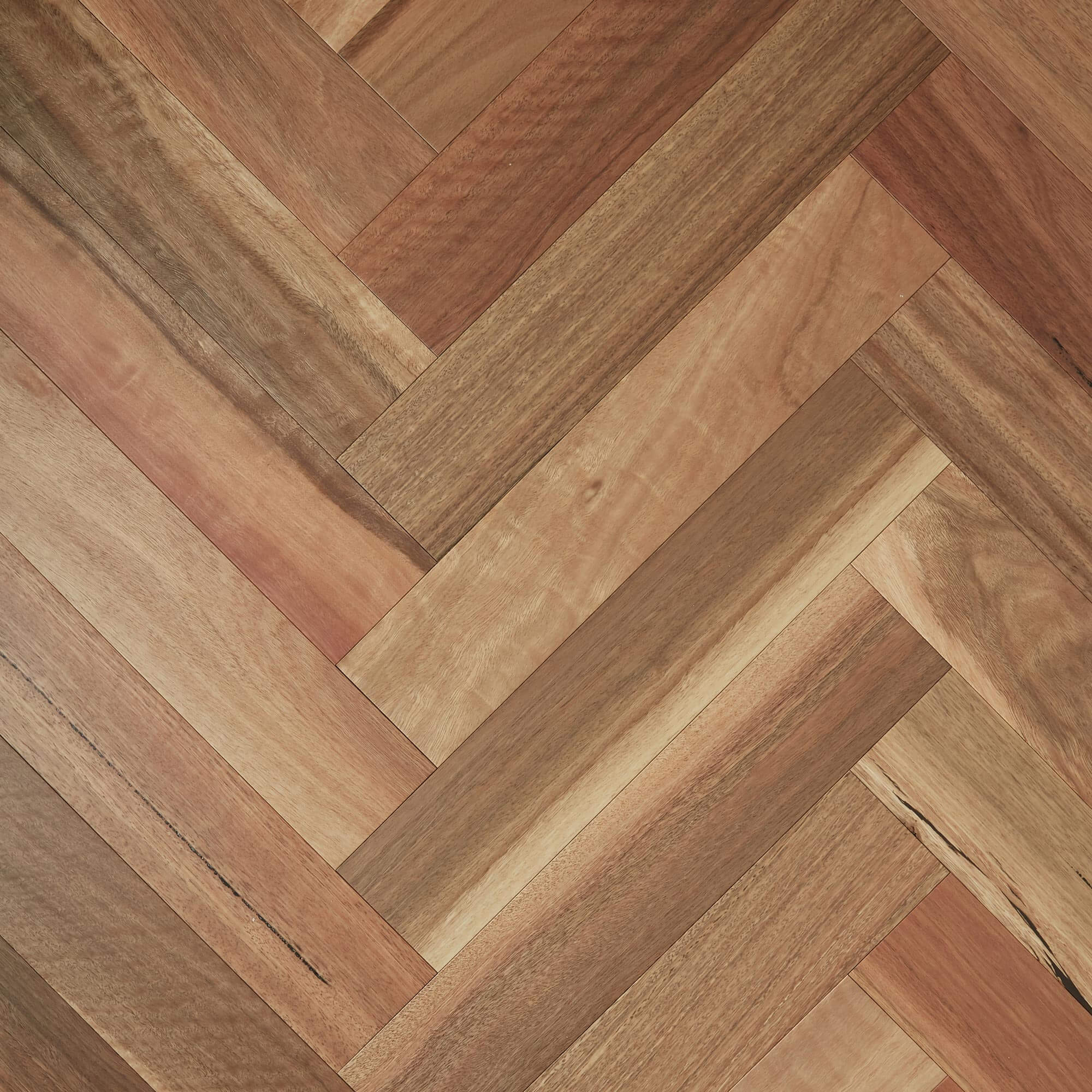 Fiddleback Australian Hardwood - Spotted Gum (Herringbone)