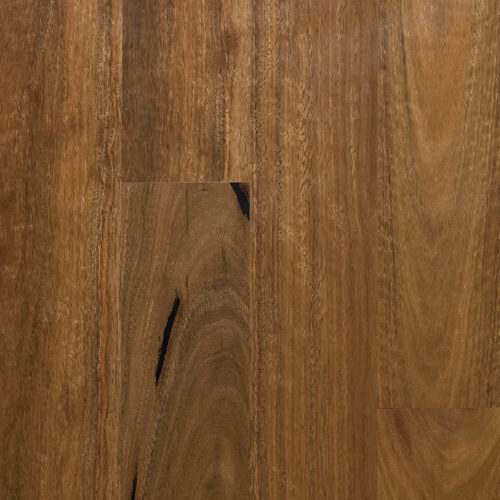 Select Australian Timber - Spotted Gum
