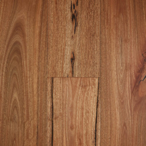 Fiddleback Australian Hardwood - Rustic Spotted Gum