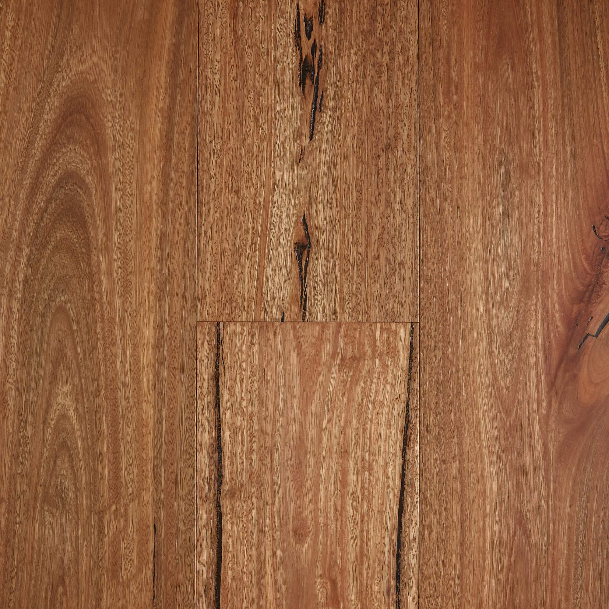 Fiddleback Australian Hardwood - Rustic Spotted Gum