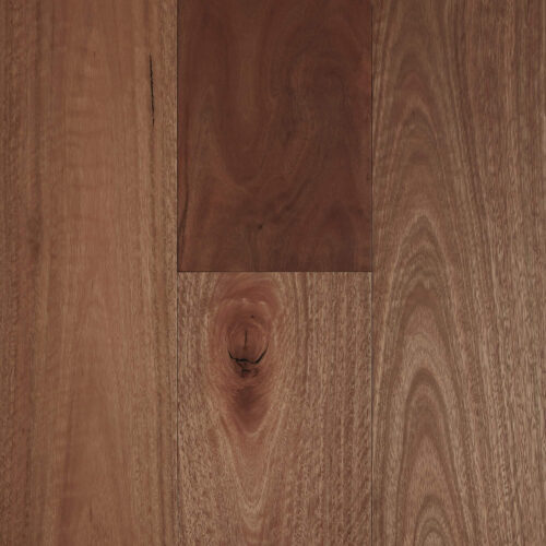 Fiddleback Australian Hardwood - Spotted Gum
