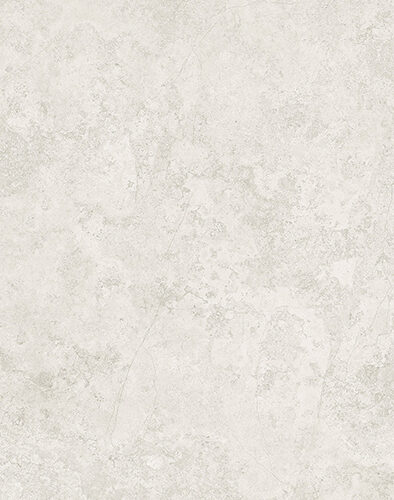 White porcelain tile — Avalon White