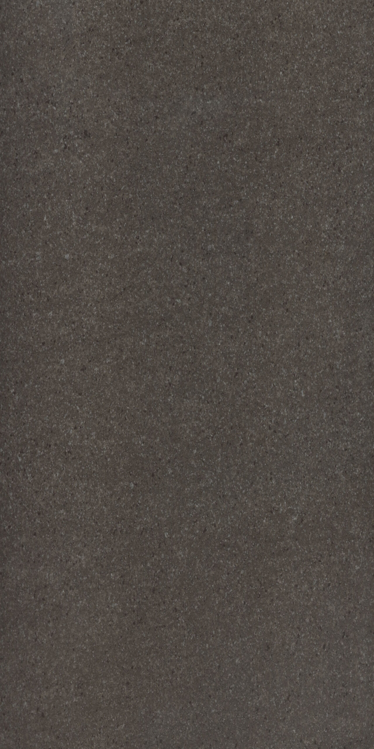 Brown porcelain tile — Belluno Brown