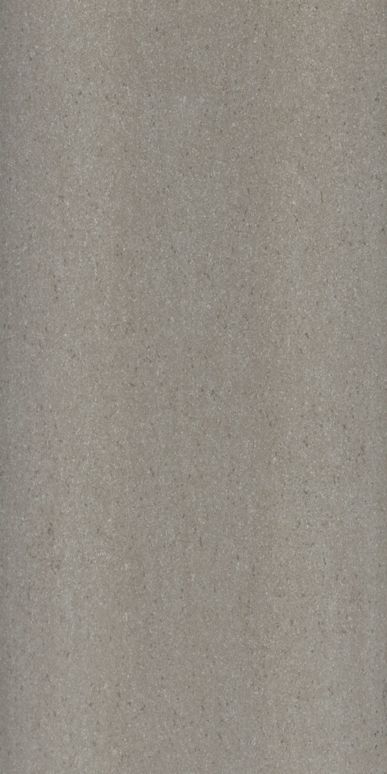 Beige Porcelain — Belluno Beige