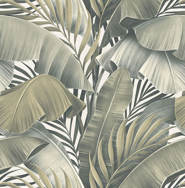 Green porcelain — Palm Cove Green