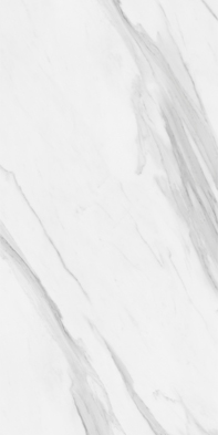 White porcelain tile — Catalina White