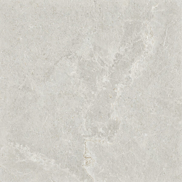 Light grey porcelain tile — Ardesia Light Grey