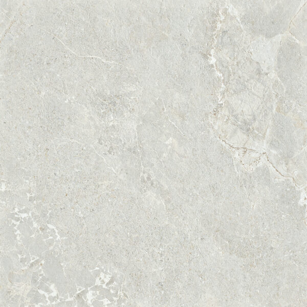 Light Grey Porcelain â€” Ardesia Light Grey