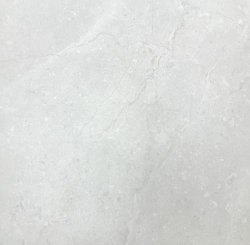 White porcelain tile — Homeland White