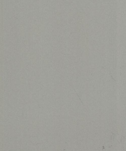 Grey ceramic tile — Entrance Grey