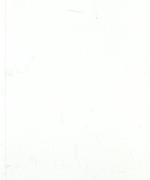 White ceramic tile — Entrance White