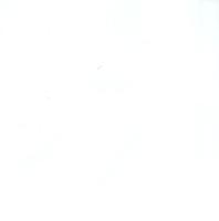 White ceramic — Laurieton White